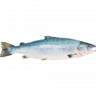 Рыба свежемороженая «РыбаХит» лосось атлантический, 1 кг, фасовка 1 - 1.3 кг